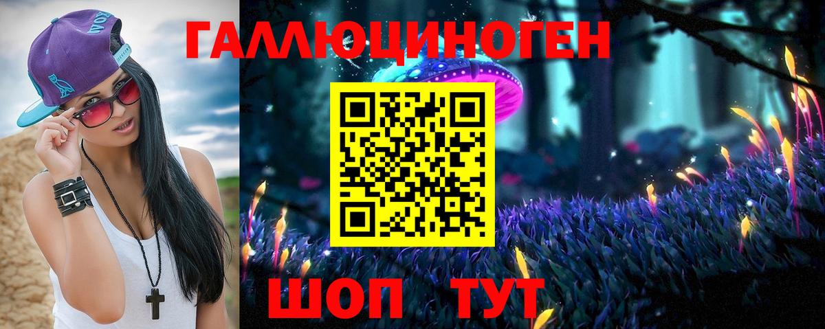 Галлюциногенные грибы Psilocybe Бийск